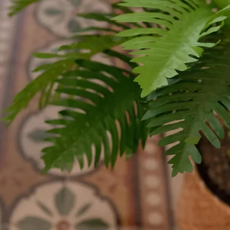 Apartman Casalore Bari